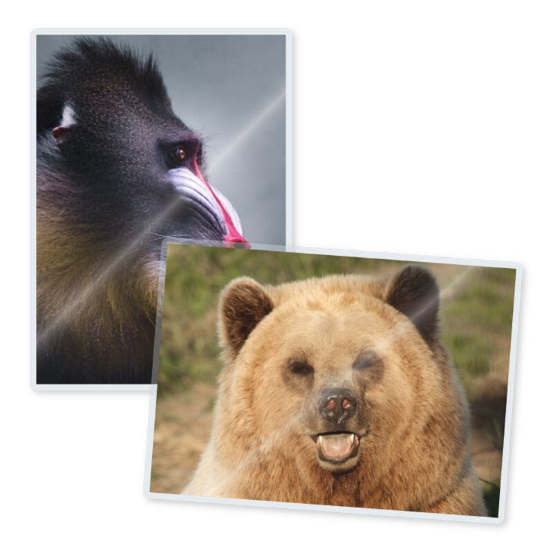 TruLam 3 Mil Laminating Pouches, Small Portrait Photo Size, 5-1/4" x 7-1/4", 200/Bx