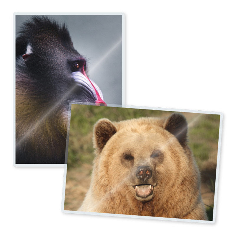 TruLam 3 Mil Laminating Pouches, Photo Size, 6" x 9", 200/Bx