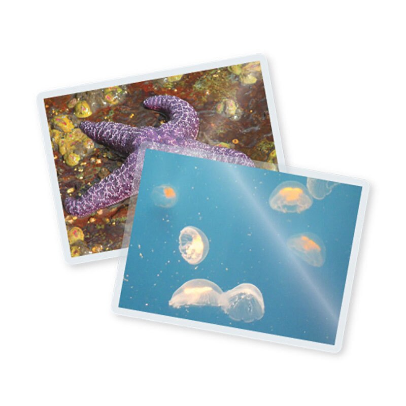 TruLam 5 Mil Laminating Pouches, Large Jumbo Size, 3" x 4-3/8", 500/Bx