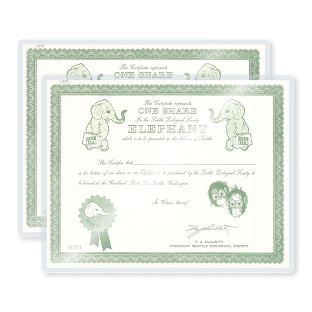 TruLam 5 Mil Sticky Back Laminating Pouches, Letter Size, 9" x 11-1/2", 100/Bx