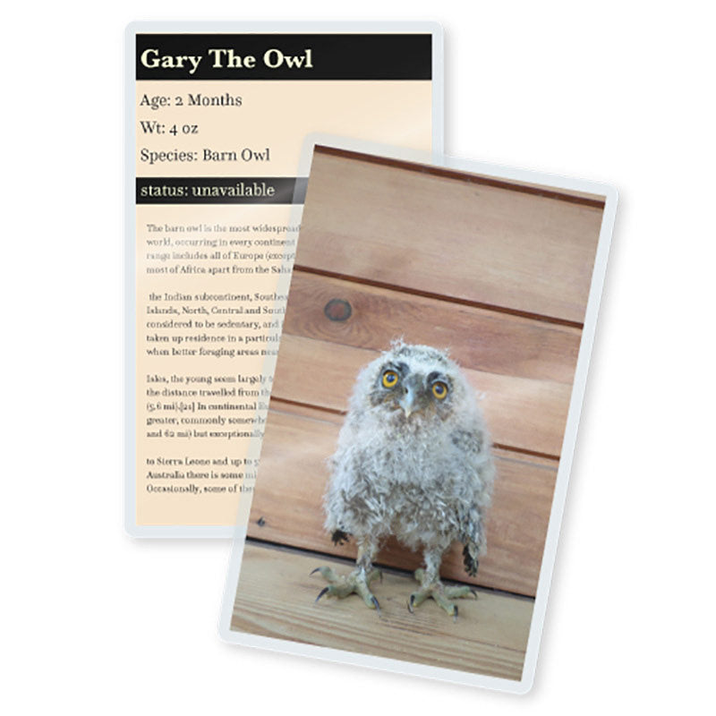 TruLam 5 Mil Laminating Pouches, Large Prayer Card Size, 3-1/4" x 5-1/4", 500/Bx