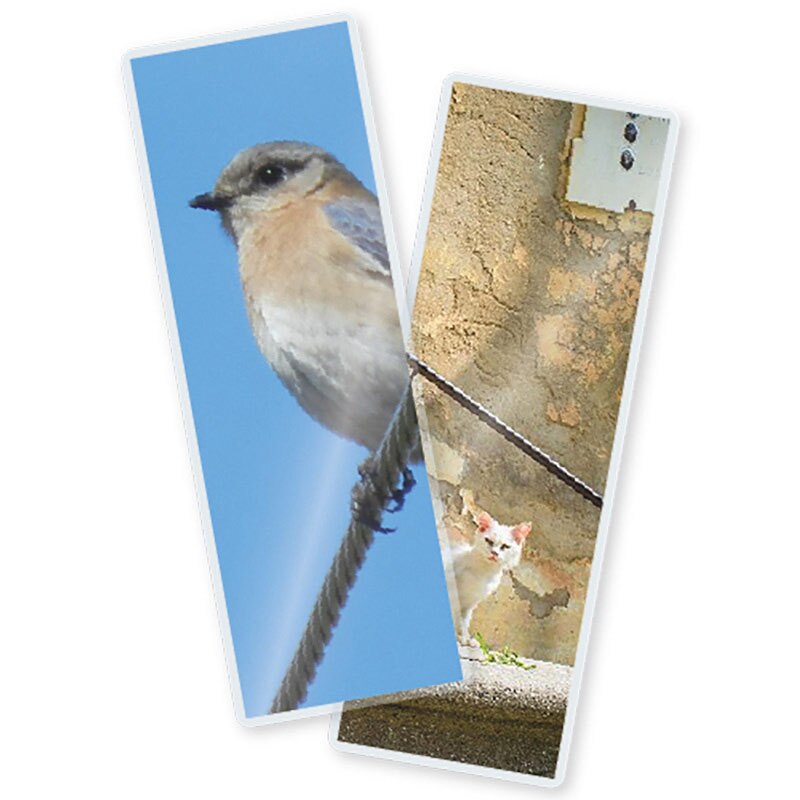 TruLam 7 Mil Laminating Pouches, Casket Record Size, 3-1/8" x 9", 100/Bx